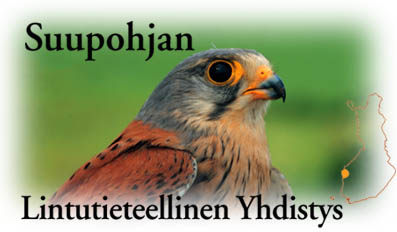 Suupohja Birding Club Kestrel: Seppo Laakso