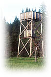 Torni