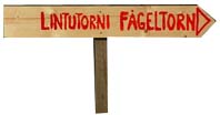Lintutorni